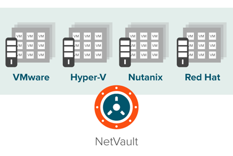 仮想環境の保護もNetvaltで対応可能